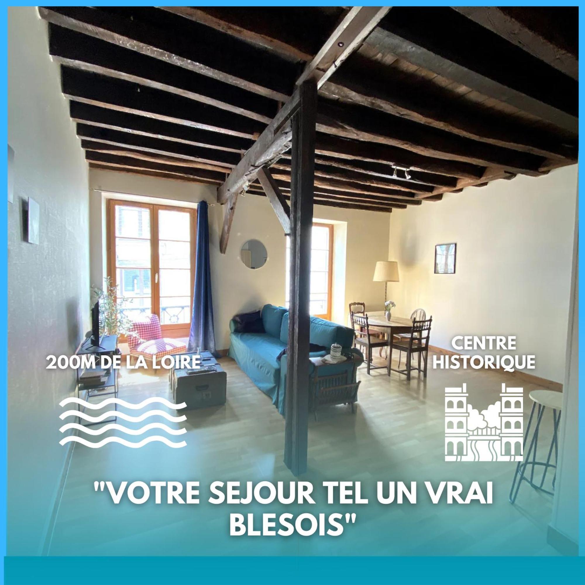 L'Escapade Blesoise - Hyper Centre Διαμέρισμα Μπλουά Εξωτερικό φωτογραφία